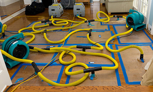 Professional Water Extraction technician working in Marshall, MI